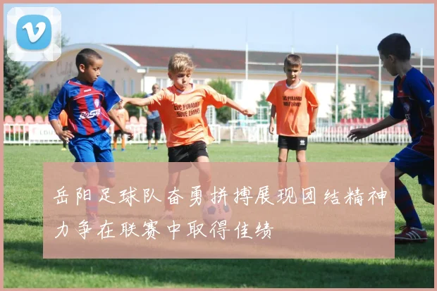 岳阳足球队奋勇拼搏展现团结精神力争在联赛中取得佳绩