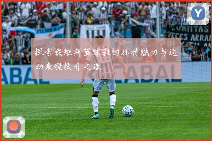 探索戴维斯篮球鞋的独特魅力与运动表现提升之道