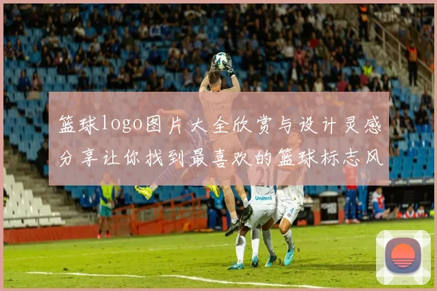 篮球logo图片大全欣赏与设计灵感分享让你找到最喜欢的篮球标志风格