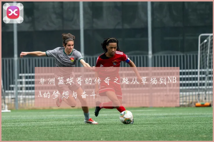 非洲篮球哥的传奇之路从草场到NBA的梦想与奋斗