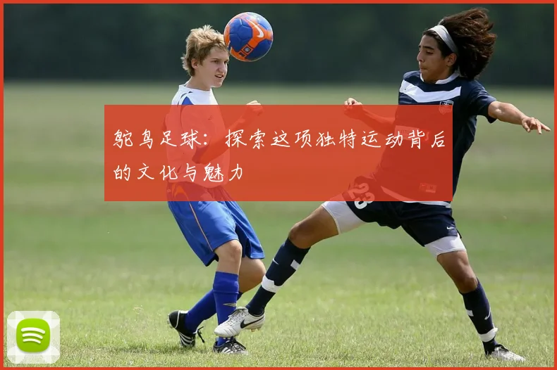 鸵鸟足球：探索这项独特运动背后的文化与魅力