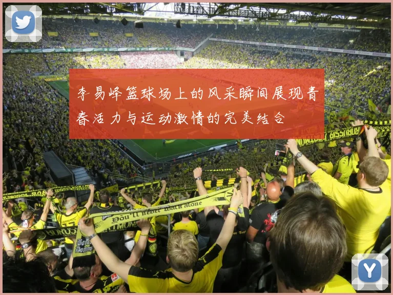 李易峰篮球场上的风采瞬间展现青春活力与运动激情的完美结合