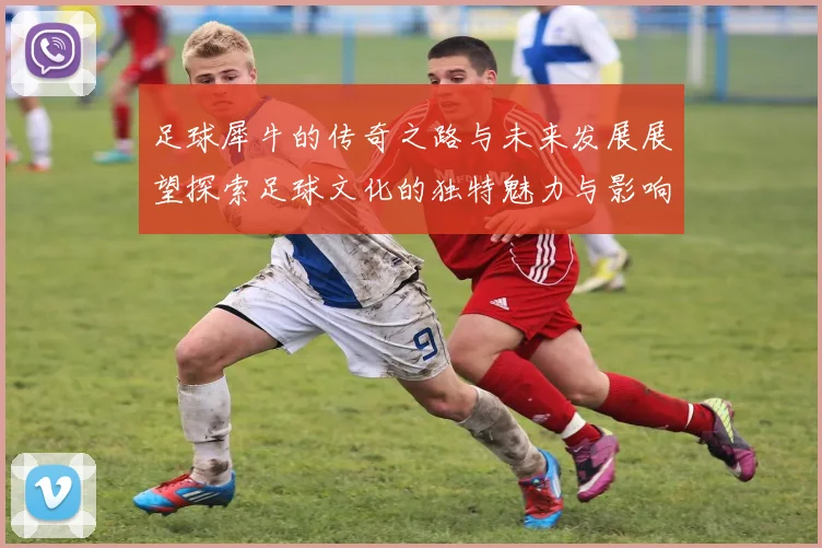 足球犀牛的传奇之路与未来发展展望探索足球文化的独特魅力与影响力