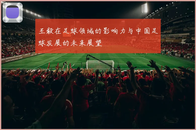 王毅在足球领域的影响力与中国足球发展的未来展望
